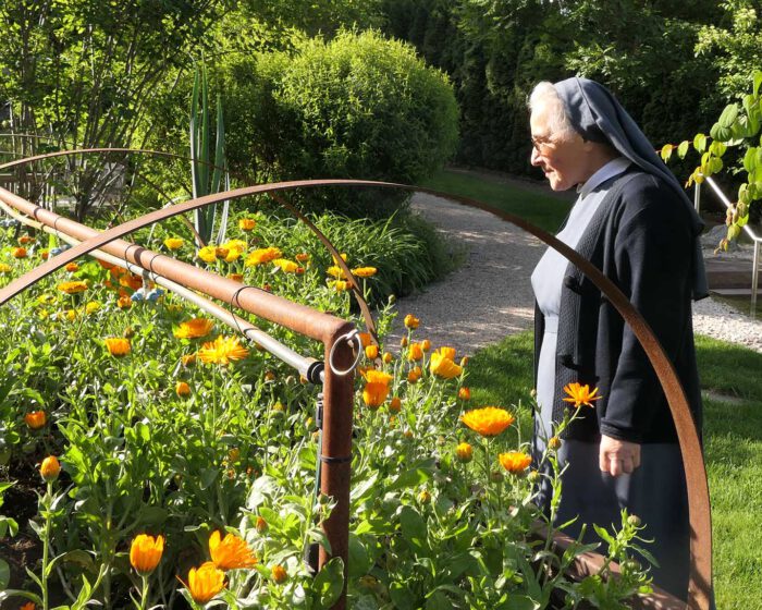Schwester Marina von den Salvatorianerinnen in Meran schaut bei den Ringelblumen nach dem Rechten.