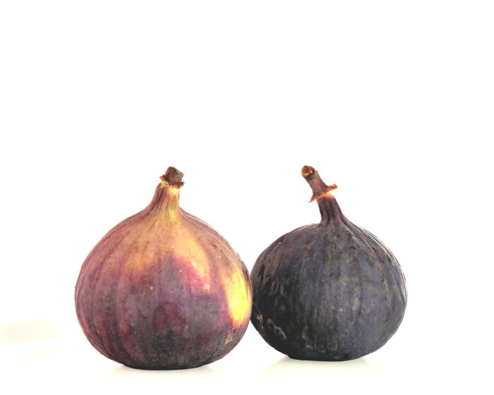 Feigenfrüchte verändern ihre Farbe im Prozess der Reife und der Trocknung.