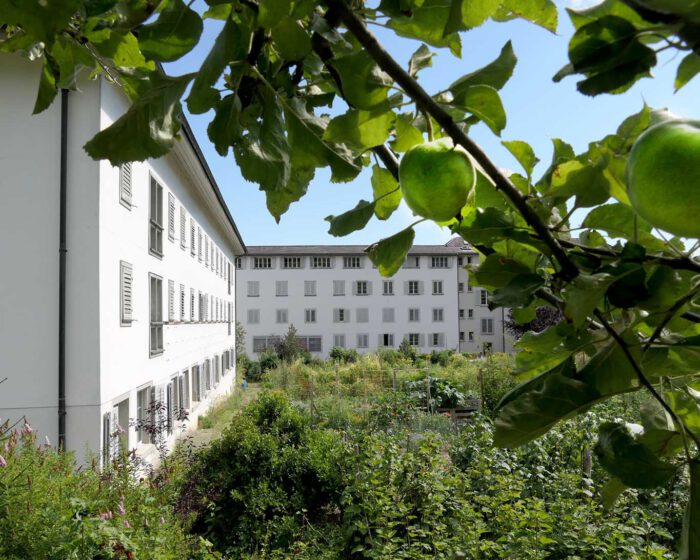 Rätselnd, wer sie wohl ernten und verspeisen mag, hängen die Äpfel im Klostergarten St. Klara Stans.