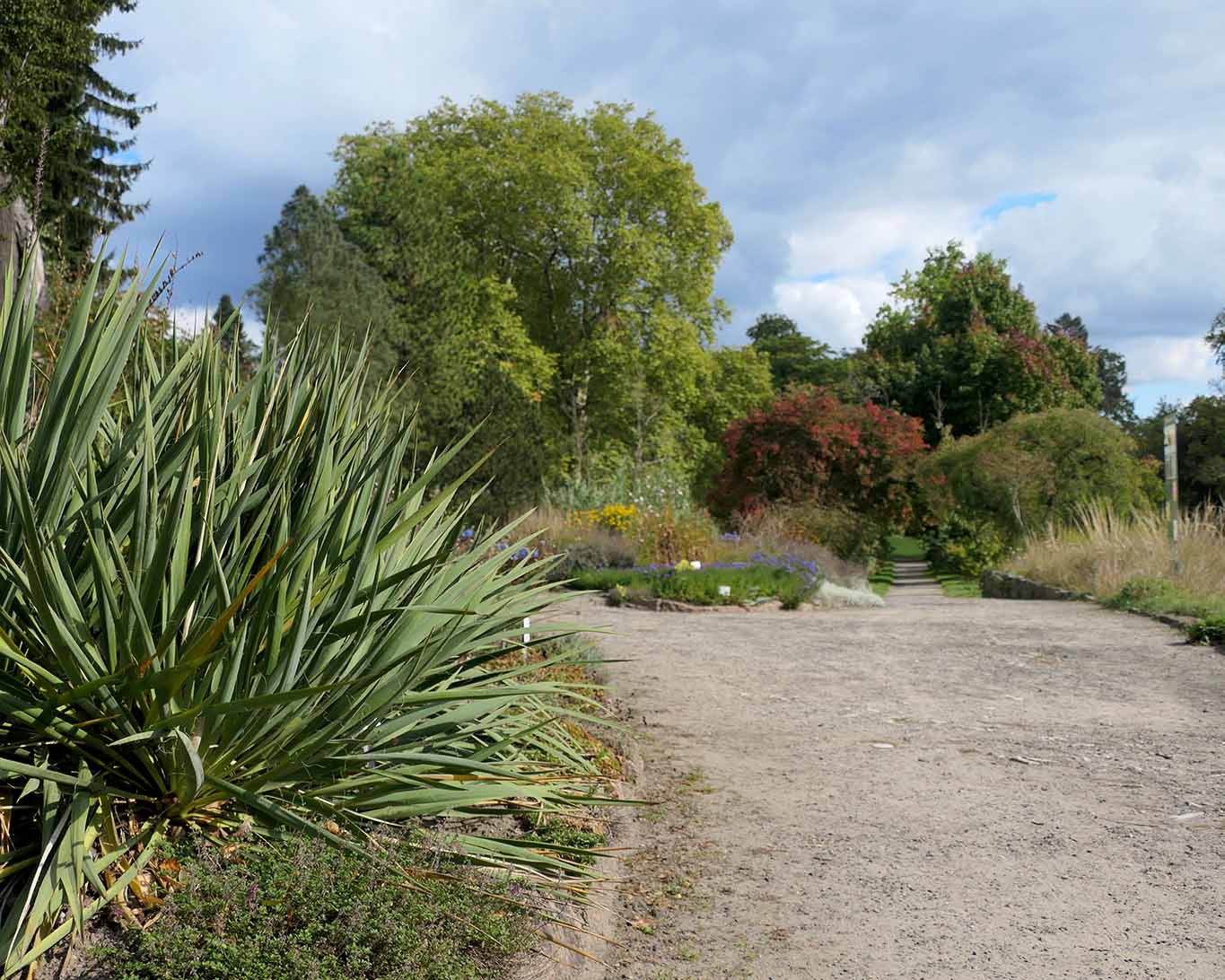 Parkweg im Paradiesgarten von Sanssouci an einem Herbsttag.