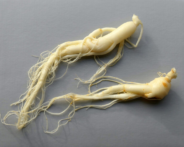 Ginsengwurzeln zählen auch zu den Adaptogenen, das sind Heilpflanzen, welche die natürliche Widerstandsfähigkeit stärken.