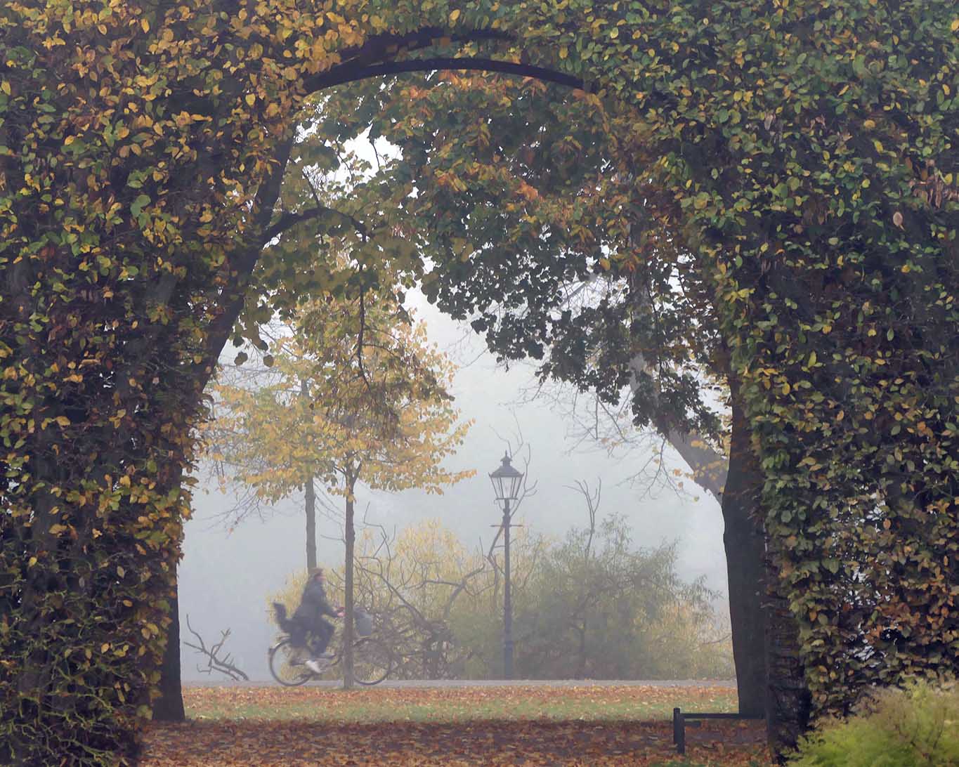 Radfahrerin im herbstlich vernebelten Schlosspark in Schwerin.
