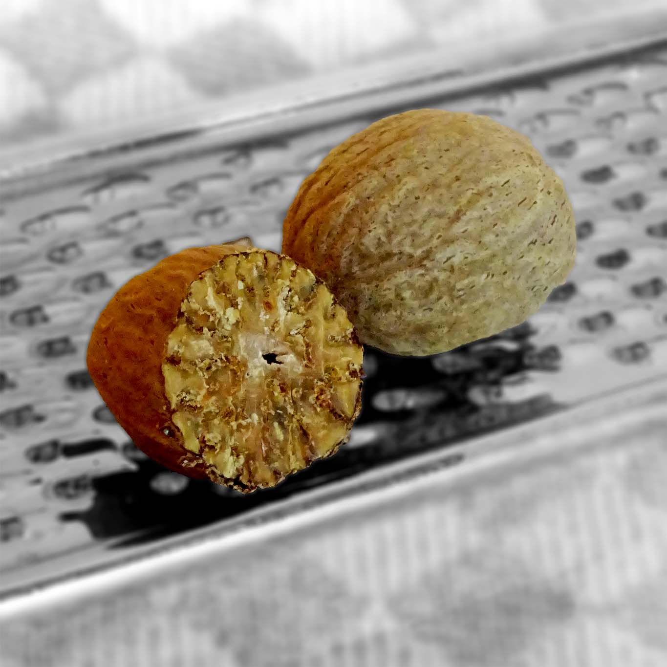 Muskatnüsse auf einer Küchenreibe. Eine davon ist schon abgerieben und hat das runde Aroma entwickelt.