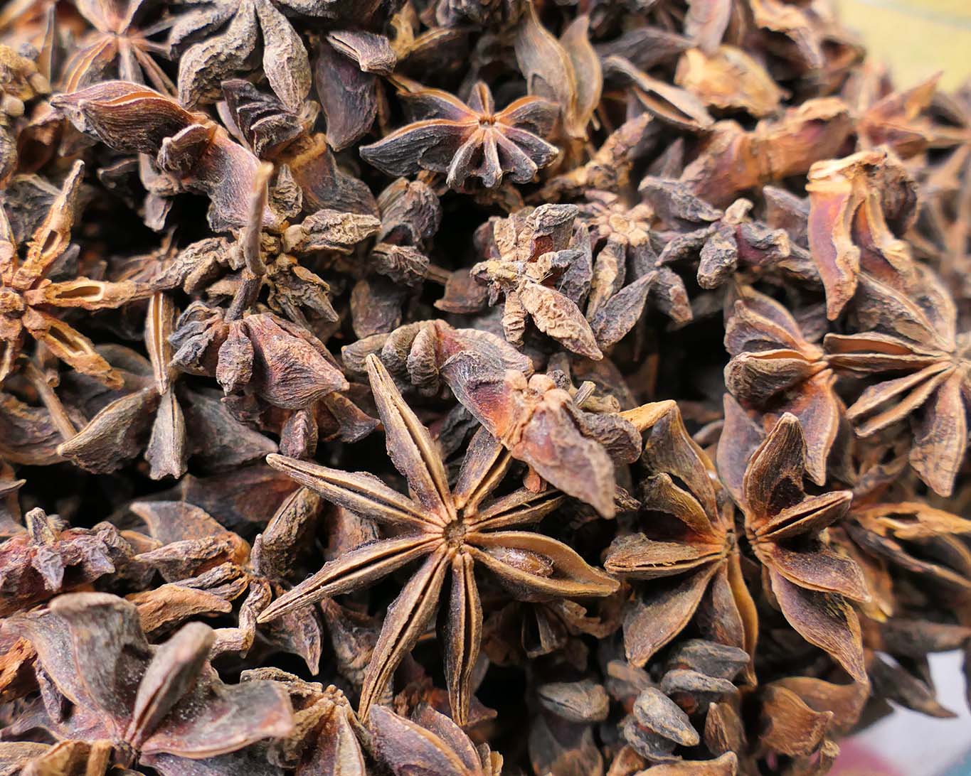 Anis-Sterne angeboten von einem Marokkanischen Gewürzhändler auf der Grünen Woche in Berlin.