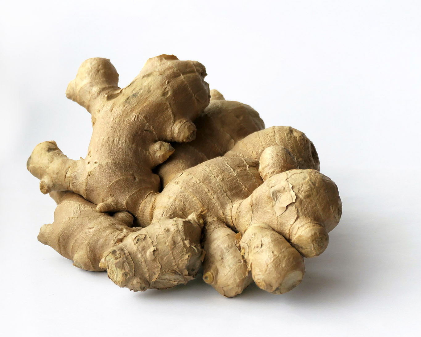 Frischer Ingwer besitzt wertvolle Inhaltsstoffe, die Gingerole. Sie können Grippe- und Rhino-Viren abwehren.