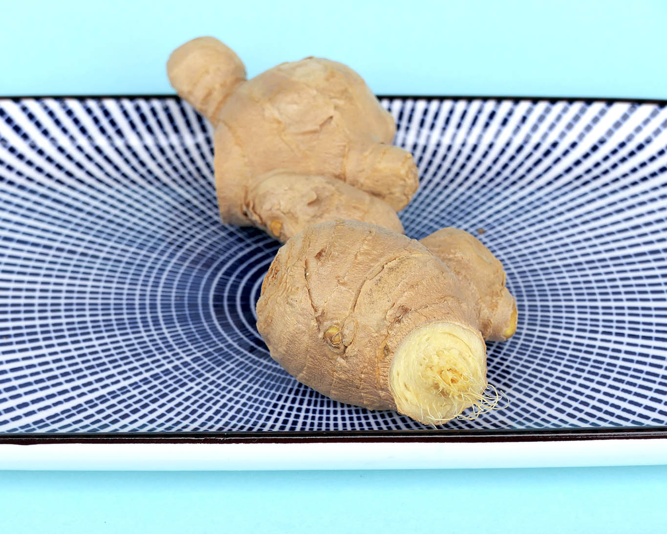 Ingwerwurzel ist ein wohlbekanntes Gewürz und Heilmittel.