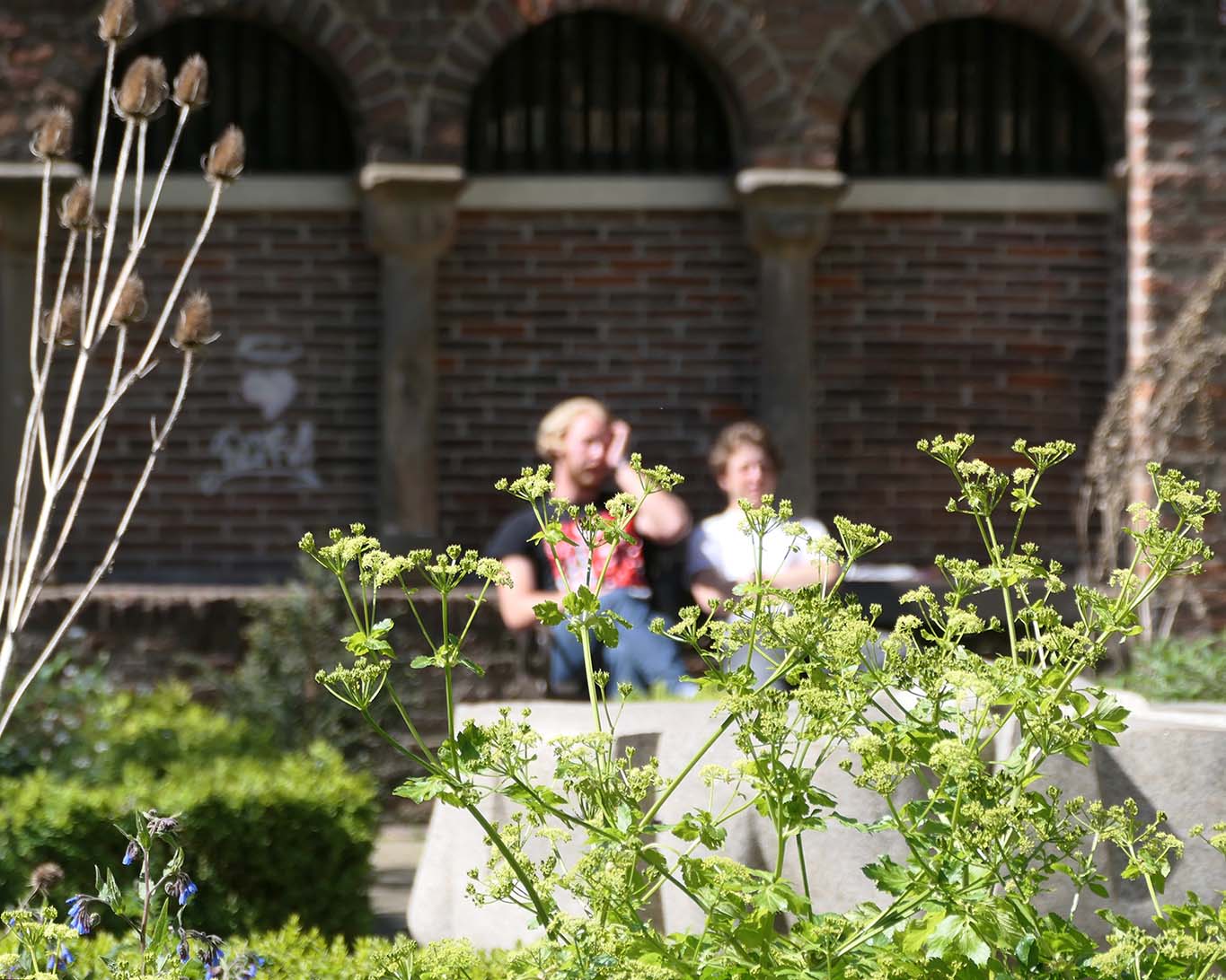 Kleine und grosse Dramen werden auf den Bänken des kleinen Gartens im Zentrum Utrechts ausgehandelt.