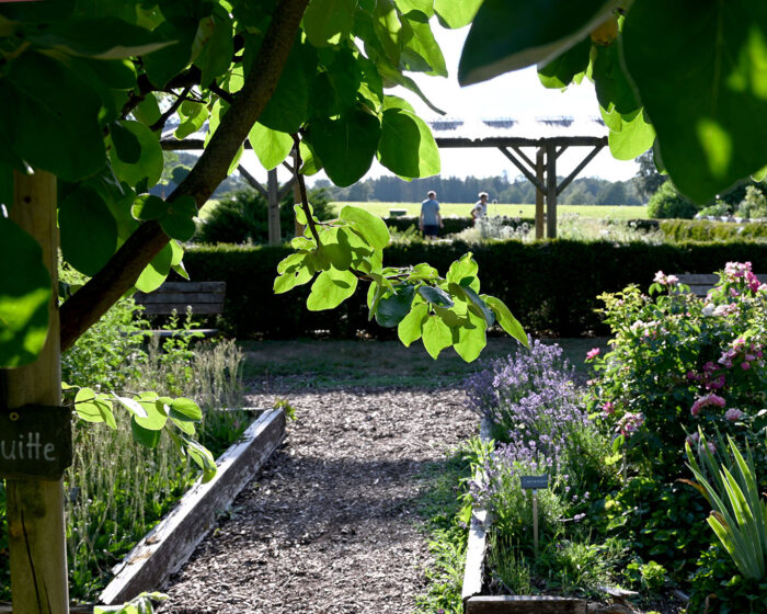 Vier verschiedenen Epochen ist der Kräutergarten im Kurpark von Bad Wörishofen gewidmet.